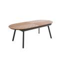 Table de jardin extensible rectangulaire (220/280 x 100 x 76 cm) en aluminium et polywood