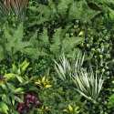 Mur végétal artificiel jardin botanique premium intérieur et extérieur 100x100 cm