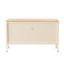 Buffet en métal 2 portes 100 cm