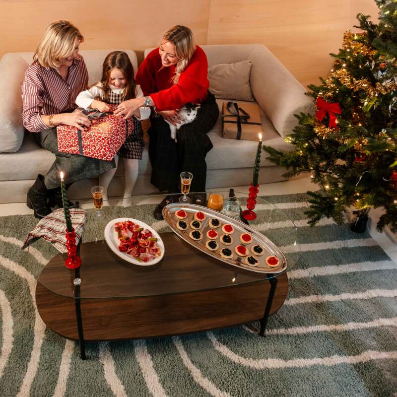 Tapis style scandinave à poils longs rectangulaire (2/5)