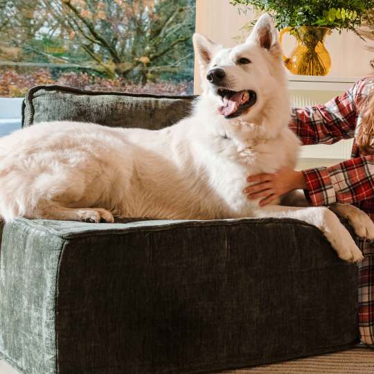 Canapé modulable 2 places en tissu avec coussins | Oviala