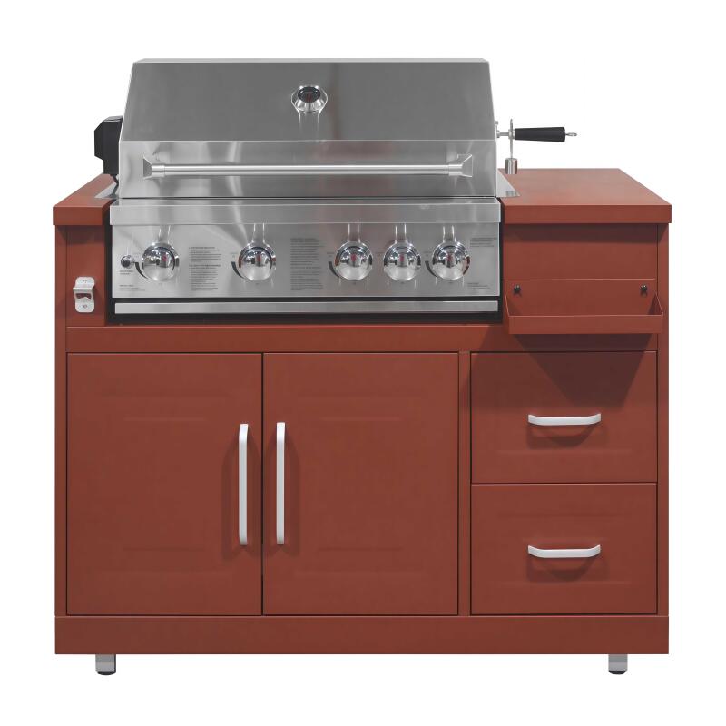 Meuble barbecue gaz de cuisine extérieur en acier à 5 brûleurs (3/7)