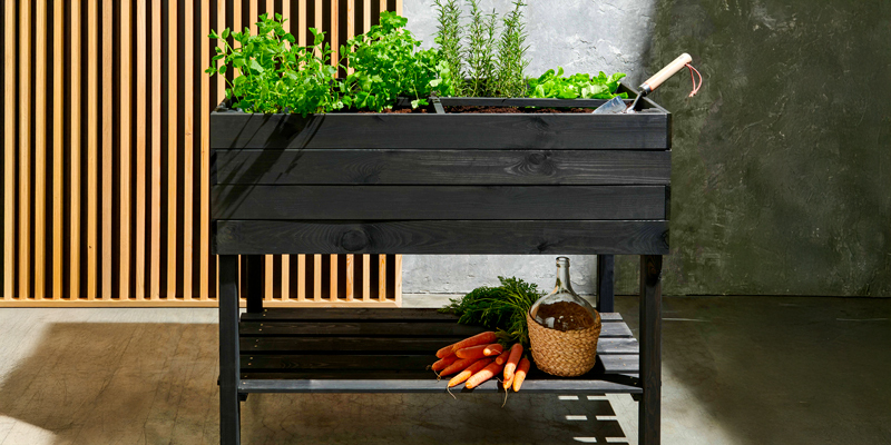 carré potager