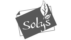 Logo SOLYS