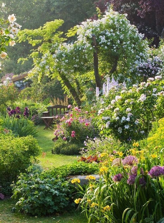 jardin anglais