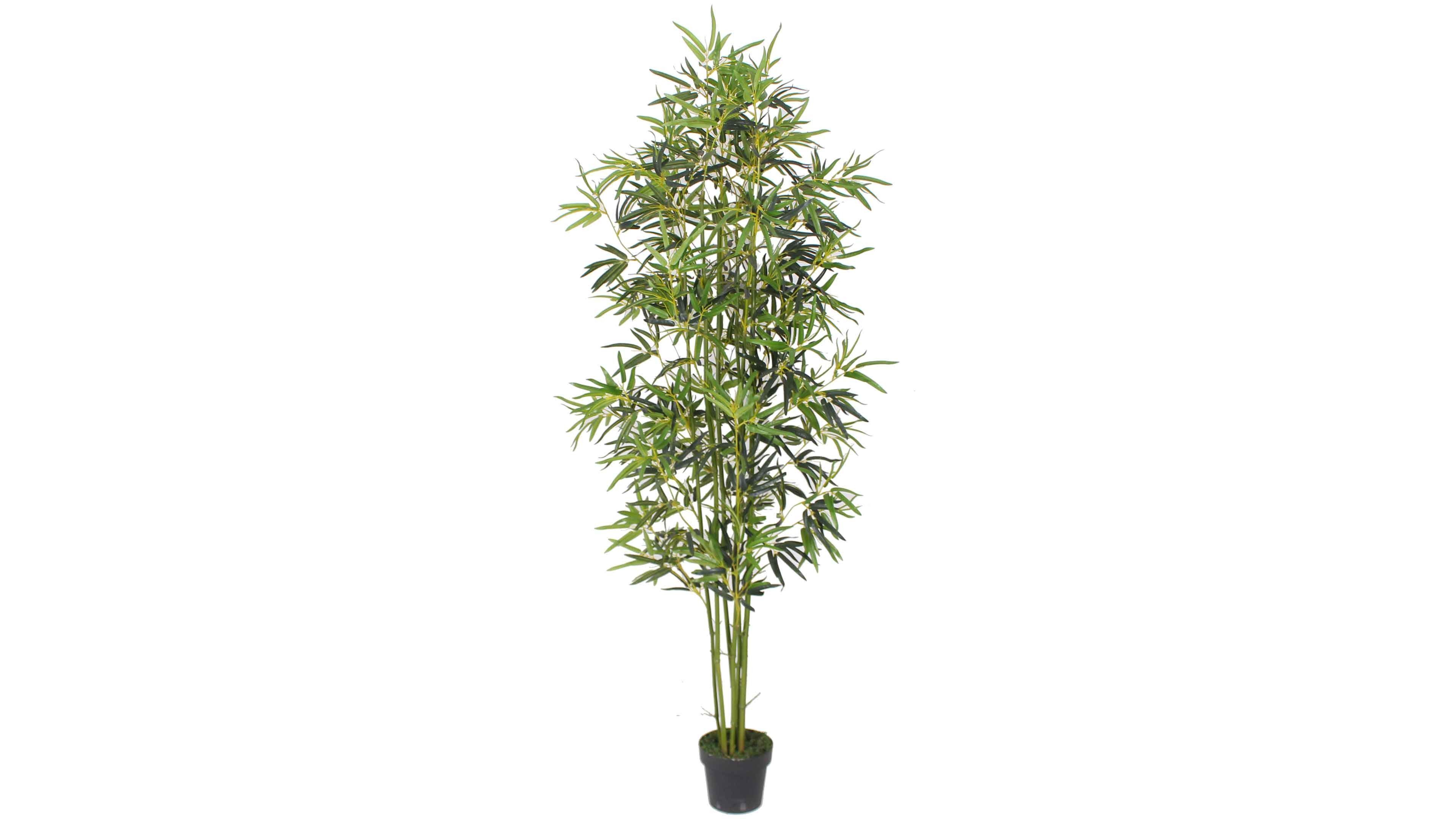 plante artificielle bambou