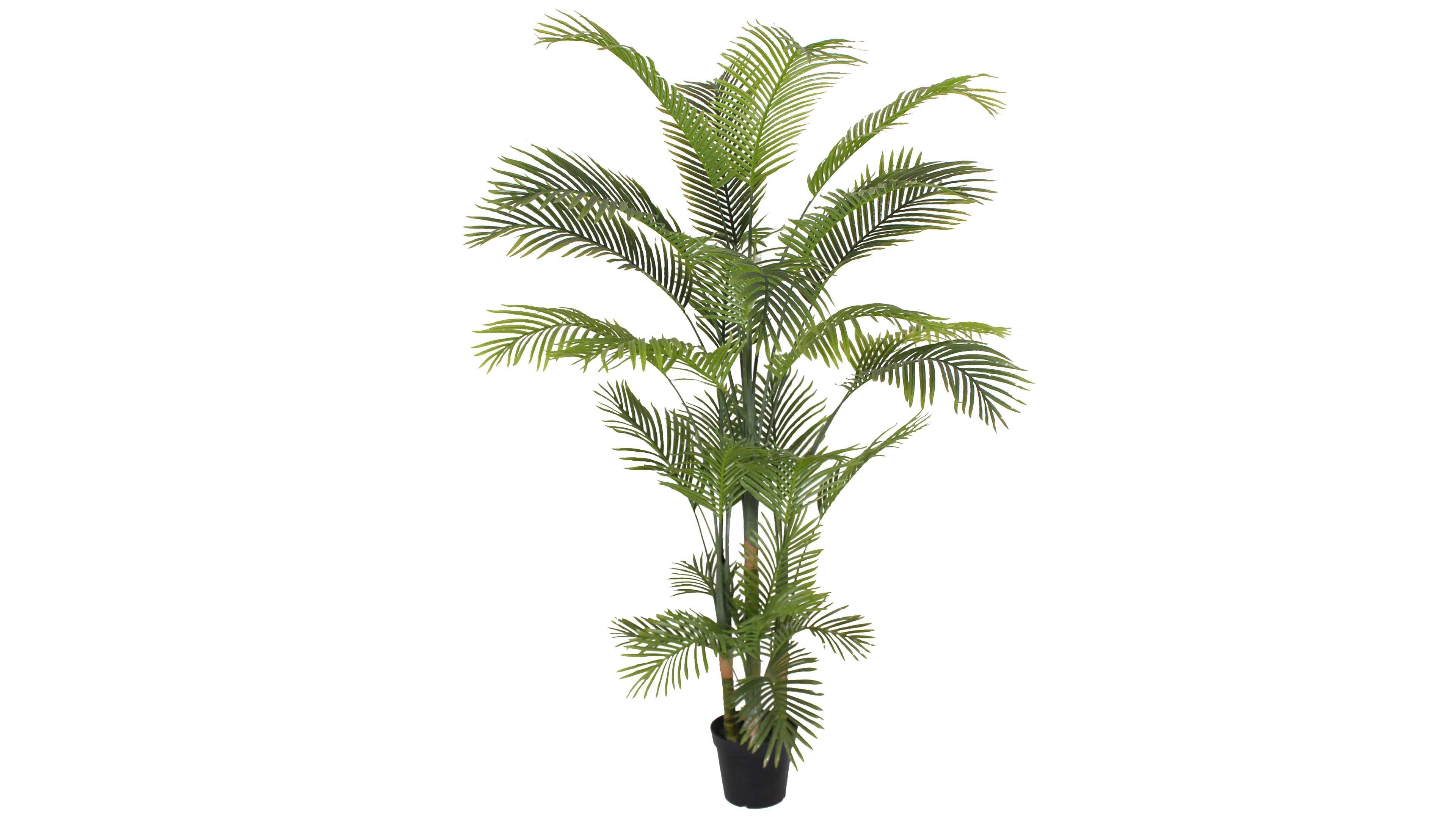 plante artificielle palmier