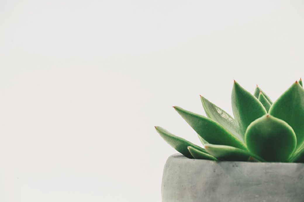 plante artificielle décoration Oviala