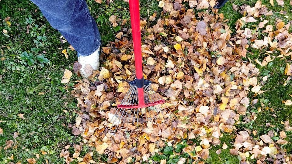 Sac de feuilles mortes de jardin GOTOTOP - avec poignée - pour déchets de  jardin légers - vert - Cdiscount Jardin