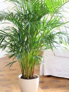 Plante Artificielle Interieur Géante – Ma déco plantes